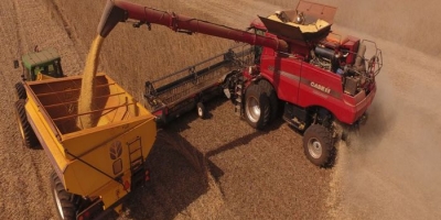 Safra recorde de grãos em 2025/26 pressiona demanda por temporários na "safra de verão"