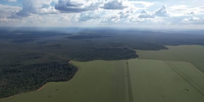 Aprosoja MT reconhece protagonismo de produtores rurais na proteção às florestas durante a estiagem