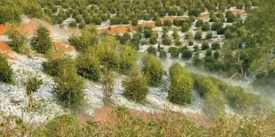O peso invisível do campo: clima instável afeta colheitas e a saúde mental dos produtores