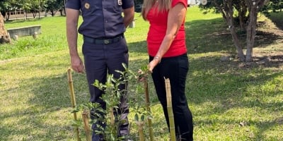 A terra que resiste: a luta de produtores rurais contra a insegurança em Campinas e Região, interior de São Paulo
