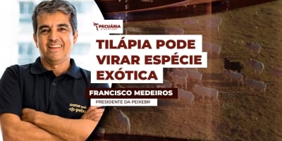 PEIXE BR estima perdas superiores a US$ 38 milhões com mudança na classificação