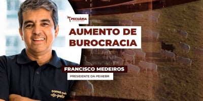 Novas regras para documentação usada no transporte de peixes no Brasil só aumentam burocracia para o setor