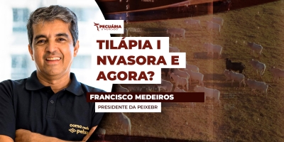 Classificação da tilápia como espécie invasora coloca a atividade em risco no Brasil