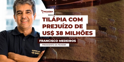 Classificação da tilápia como espécie invasora pode gerar prejuízo imediato de US$38 milhões para o setor, avalia PEIXE BR