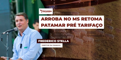 Frigoríficos de MS remanejam produção para mercado interno e ampliam vendas para China, México e Chile