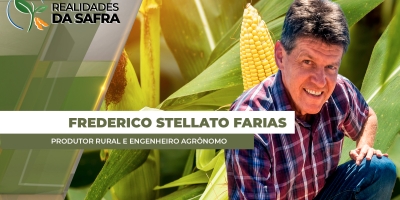 Lavouras de milho estão boas em Campo Mourão / PR e colheita na região começará no meio de junho