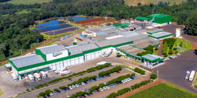 Friella abate 4 mil suínos/dia e supera 450 toneladas de produção, consolidando expansão no mercado nacional