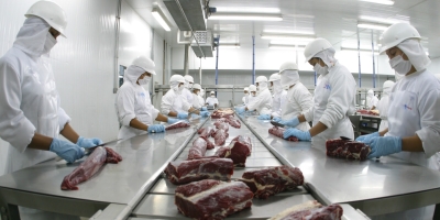 Mato Grosso exporta 368,8 mil toneladas de carne bovina para 77 países no primeiro semestre de 2025