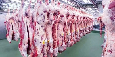 Governo ajusta controles de exportação de carnes para atender exigências contra antimicrobianos da UE