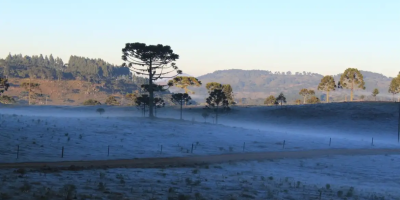 Frio avança e região Sul volta a entrar em alerta para geadas