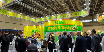 Mais de 40 produtores e expositores brasileiros participaram da Fruit Logistica em Berlim na Alemanha