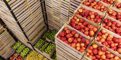 Faec completa 60 anos de atuação em defesa do produtor rural no Ceará