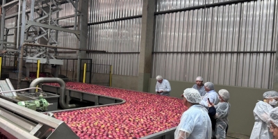 Missão internacional avança na abertura do mercado cubano para frutas brasileiras