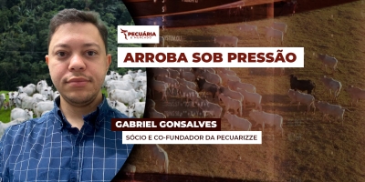 Suporte dos R$300,00 da arroba pode ser rompido com cenário de incerteza e pressão dos frigoríficos