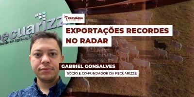 Julho nem acabou e volume de carne bovina exportada já é maior que no ano passado