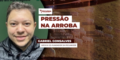 Cenário de incerteza pode mudar tendência da arroba e pecuarista tem que estar preparado