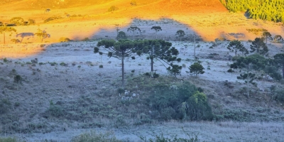 Frio extremo no Sul congela paisagens e acende alerta para mudanças no clima