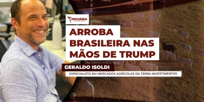 Cenário de pressão na arroba do boi pode reverter se Trump confirmar retirada das tarifas para carne bovina