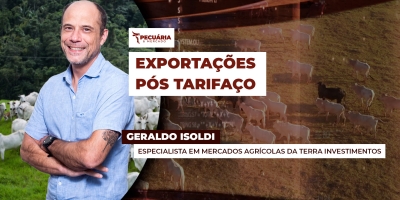 Volume exportado de carne bovina acelera em julho e valida tradição de aumento dos embarques no segundo semestre