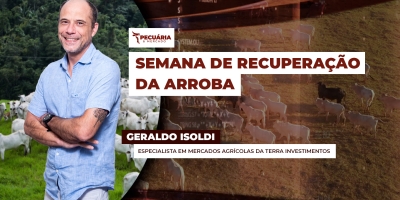 Primeira semana de agosto tem recuperação da arroba com retomada de preços a patamares anteriores ao tarifaço