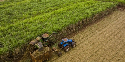 Planejamento e manejo integrado ditam o ritmo da cana na safra 2026