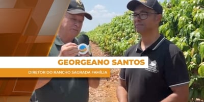 Rio São Francisco transformou a produção de mangas no rancho Sagrada Família no Vale do São Franscico