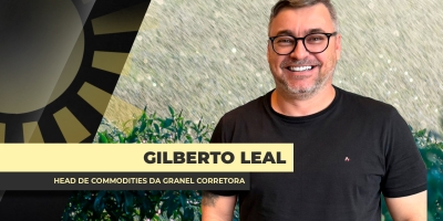 Excesso de avariado na soja do MT compromete fluxo do grão, encarece ainda mais a logística e demanda redirecionamento do grão; discussão sobre classificação se intensifica