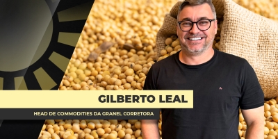 Liquidez no mercado brasileiro de soja segue muito baixa com pressão de Chicago, do dólar e das incertezas sobre inspeções pra China