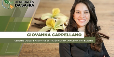 Baunilha desponta como opção de cultivo rentável no Cerrado brasileiro