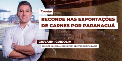 Terminal de Contêineres de Paranaguá bate recorde histórico no primeiro semestre de 2025