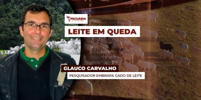 Preço do leite ao produtor recua pelo segundo mês seguido com maior oferta e demanda retraída