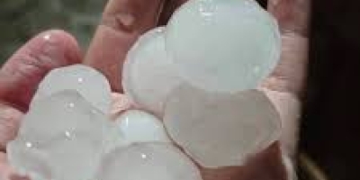 Granizo volta a atingir áreas produtoras do Sudeste enquanto interior segue com tempo seco