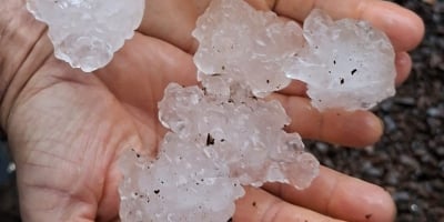Granizo e chuva forte causam estragos e preocupam produtores em Santa Catarina
