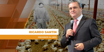 Tensão no Oriente Médio: demanda consistente e atrasos nos embarques preocupam a cadeia de aves