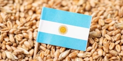 Argentina reduz impostos de exportação sobre grãos