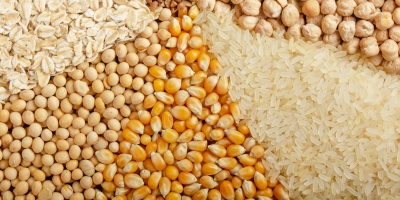 Clima seco ajuda a colher, mas trava a safrinha e liga sinal de alerta no Sul