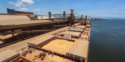 Anec eleva projeções de embarques de soja, farelo e milho do Brasil em agosto