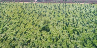 São Paulo amplia orientação para produtor rural transformar regularização ambiental em oportunidade de renda
