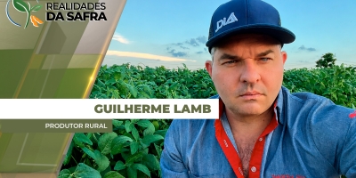 Milho se beneficiou das chuvas em Maracaí/SP, mas janela de plantio alongada deve limitar produção