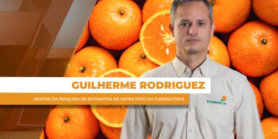 Safra 25/26 de laranja é encerrada com mais de 292 milhões de caixas