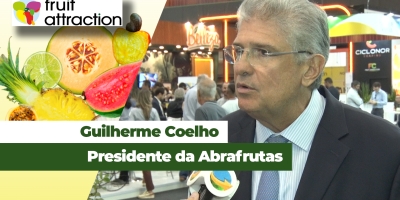 Uva será a primeira fruta a se beneficiar do acordo Mercosul-União Europeia