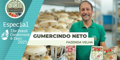 HORTI RESENHA ESPECIAL IFPA - Produção de cogumelos orgânicos