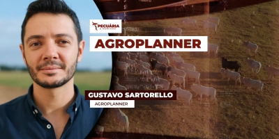 Comprar bezerro ou investir em CDI, o que rende mais? Entenda as contas e a necessidade de ajuste nas operações