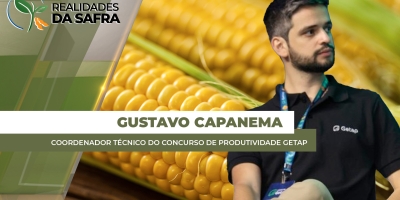 Milho acima de 360 sacas: o novo teto produtivo do Brasil
