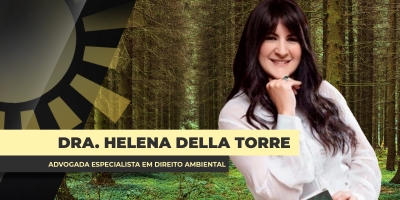 3ª edição do Código Florestal Comentado será lançada nesta 5ª e chega como mais uma ferramenta de proteção e conhecimento ao produtor brasileiro