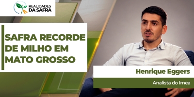 Imea eleva previsão para safra de milho do Mato Grosso, que deve passar de 57 milhões de toneladas e ser recorde