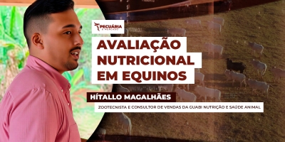 Nova ferramenta de avaliação nutricional de equinos visa economia e bem-estar  dos animais