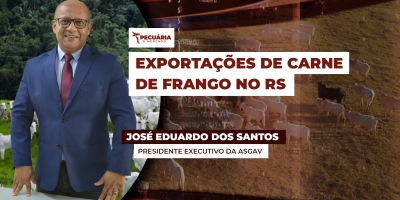 Indústrias do RS já estão tecnicamente prontas para retomar exportações de frango no estado, mas ainda dependem da aprovação de 25 países