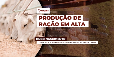 Produção de ração no Brasil cresce 2,8%, para 90 milhões de toneladas em 2025