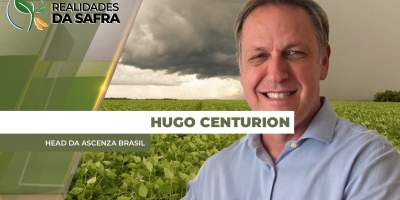 Após 2025 com aumento de produção, 2026 começa com desafios para o tomate